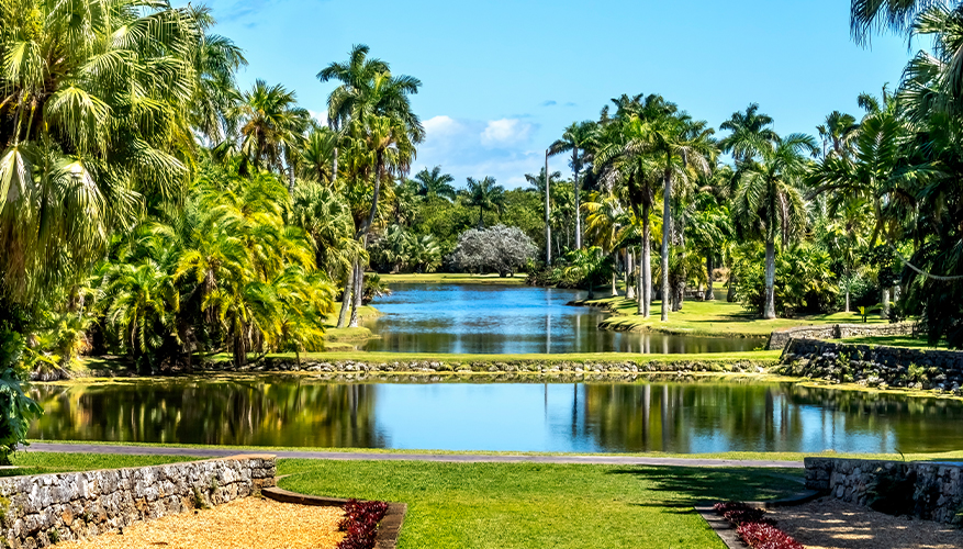 Fairchild Tropical Botanic Garden